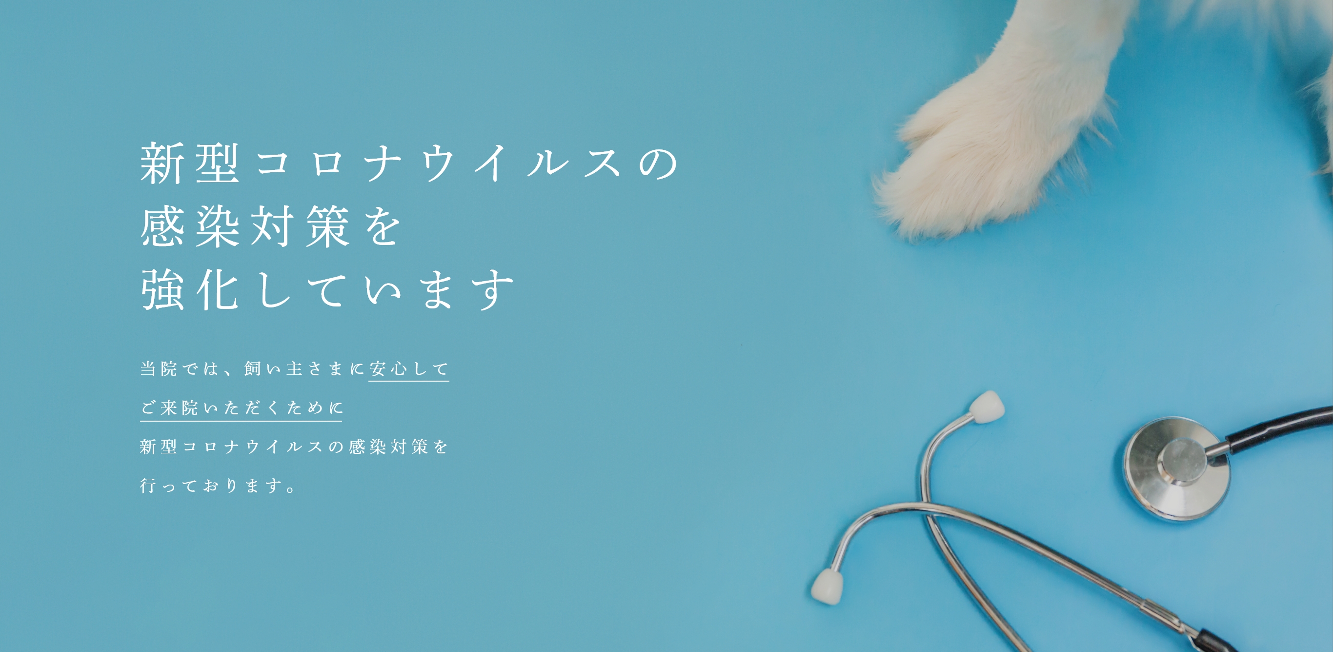 新型コロナウイルスの感染対策を強化しています当院では、飼い主さまに安心してご来院いただくために新型コロナウイルスの感染対策を行っております。